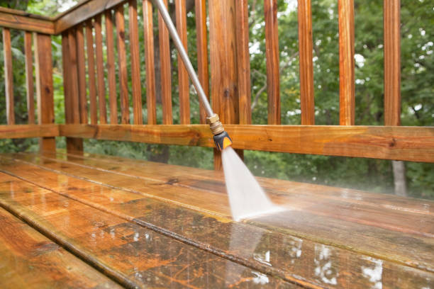 Best Animal Enclosure Cleaning  in Naples, TX