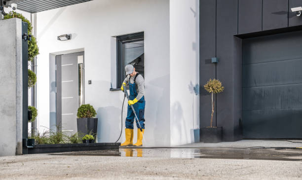 Best Soft Washing  in Naples, TX